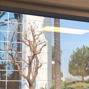 Meet your Posher, Queenie